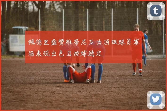 佩德里盛赞维蒂尼亚为顶级球员赛场表现出色且控球稳定