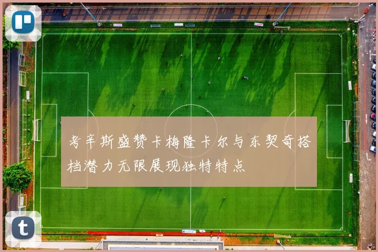 考辛斯盛赞卡梅隆卡尔与东契奇搭档潜力无限展现独特特点