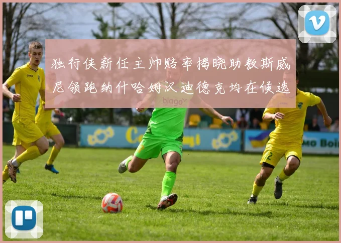 独行侠新任主帅赔率揭晓助教斯威尼领跑纳什哈姆汉迪德克均在候选之中